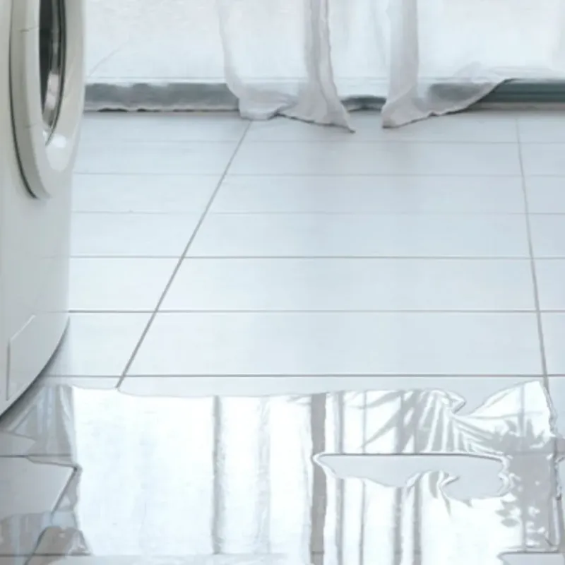 Appliance Leak Cleanup in Centerville, SC